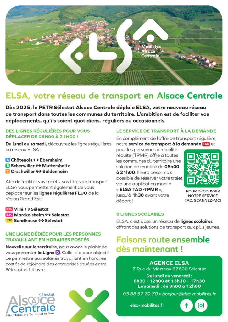 Flyer ELSA-A4- (1)_page-0001