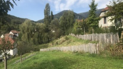 IMG_0785