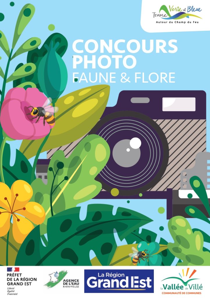 Flyer concours photo - TVB_page-0001